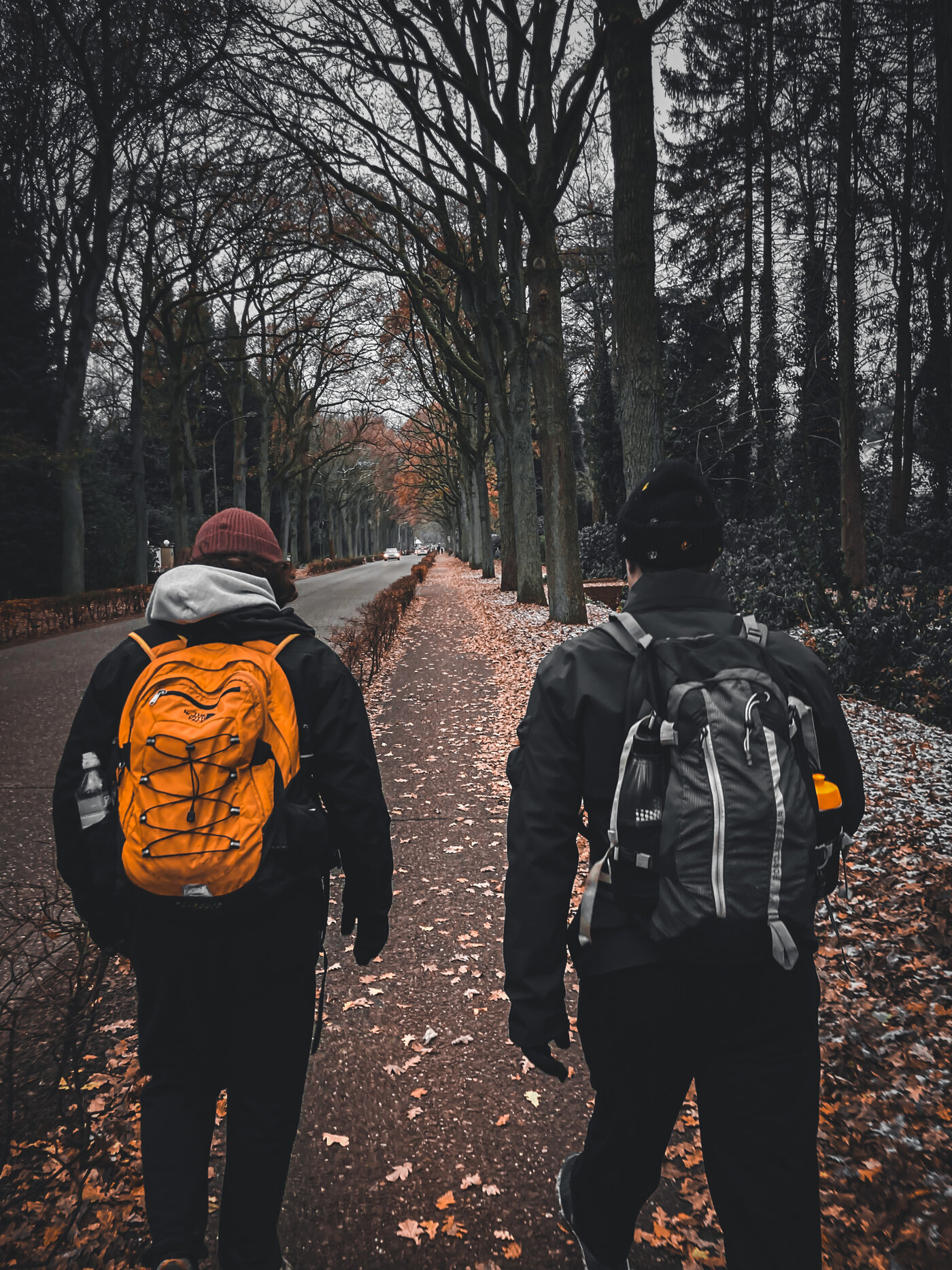 Wandelaars onderweg tijdens De Warme Kerstmars